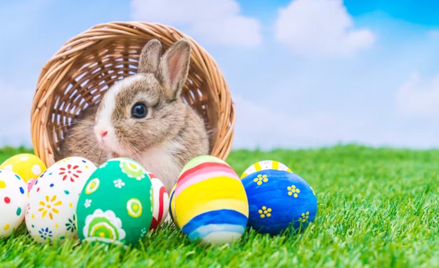 Easter Brunch St Pete